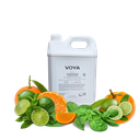 Voya Invigorating Conditioner 5L