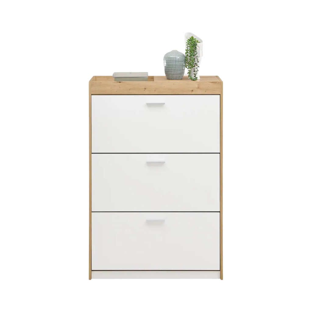 [33104T2E] PARIS shoe cabinet 4