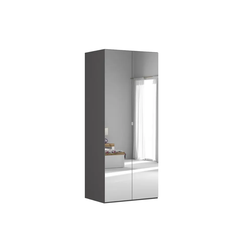 Flex Hinged wardrobe 100 cm graphite