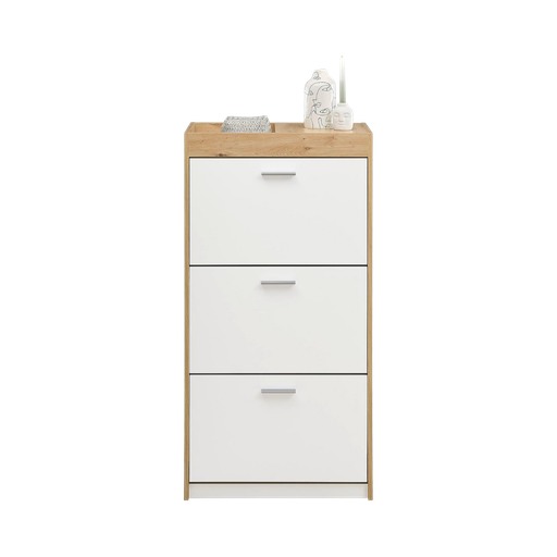 [33103T2E] PARIS shoe cabinet 3