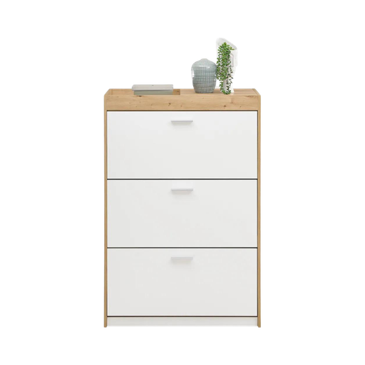 [33104T2E] PARIS shoe cabinet 4